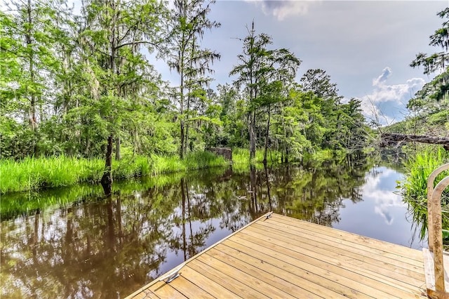 55 Glen Way, Richmond Hill, GA 31324 - dock area featuring a water view