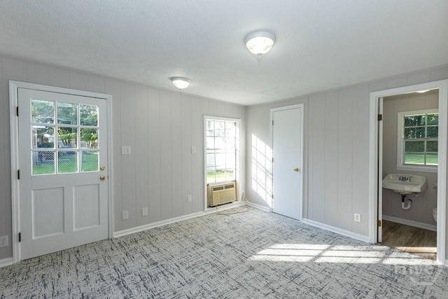 84 Poplar St, Guyton, GA 31312 - entryway with carpet, healthy amount of natural light, and a textured ceiling