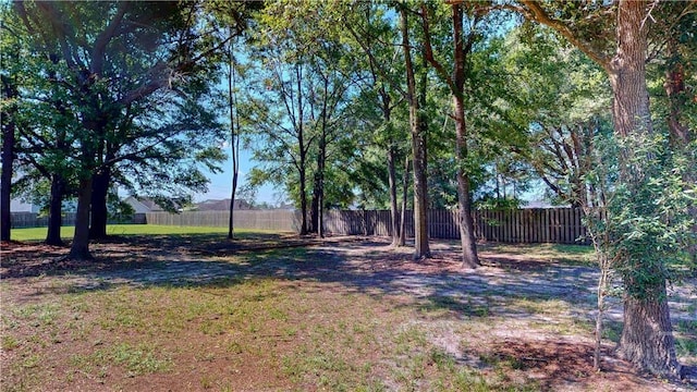 110 Tailwind Trl, Guyton, GA 31312 - view of yard