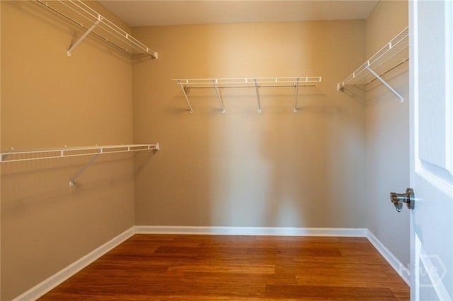 9 Sweetwater Ct, Savannah, GA 31419 - spacious closet featuring wood finished floors