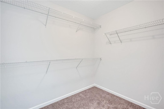 89 NE Morgan Field Blvd, Ludowici, GA 31316 - walk in closet with carpet floors