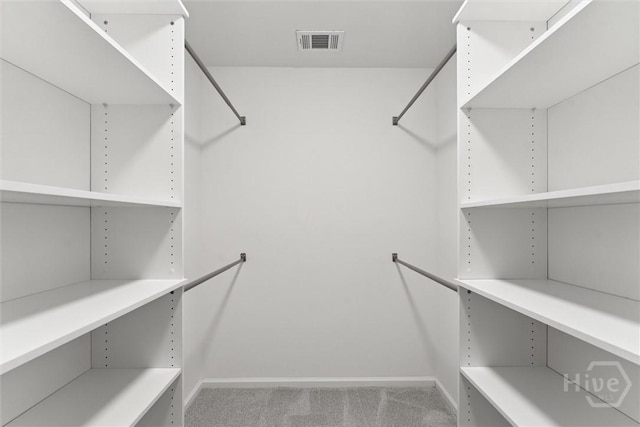 413 Roberts Way, Rincon, GA 31326 - spacious closet featuring carpet
