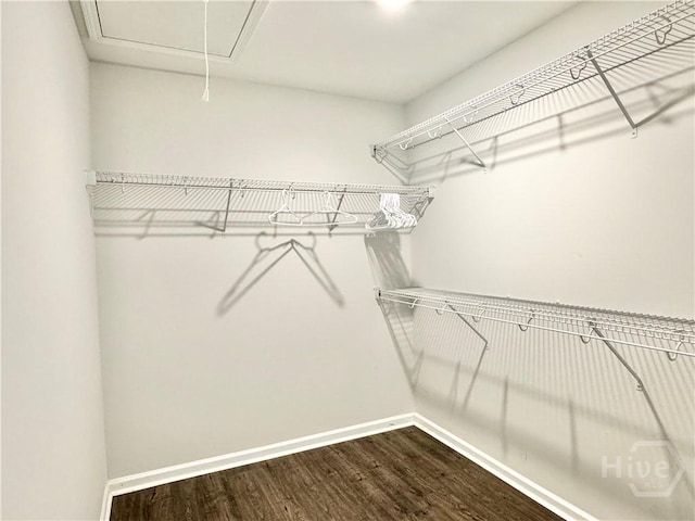 134 Melody Dr, Pooler, GA 31322 - spacious closet with dark wood-style floors and attic access