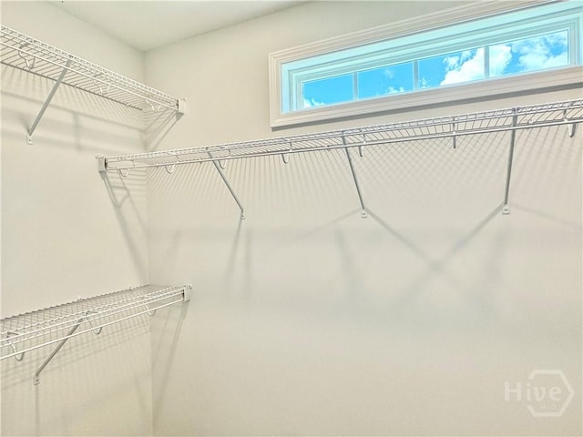 134 Melody Dr, Pooler, GA 31322 - view of walk in closet