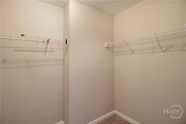 5030 Winfield Dr, Rincon, GA 31326 - photo 19
