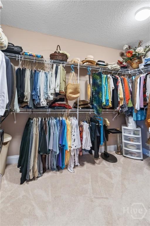 287 Sandpiper Rd, Midway, GA 31320 - walk in closet featuring carpet flooring