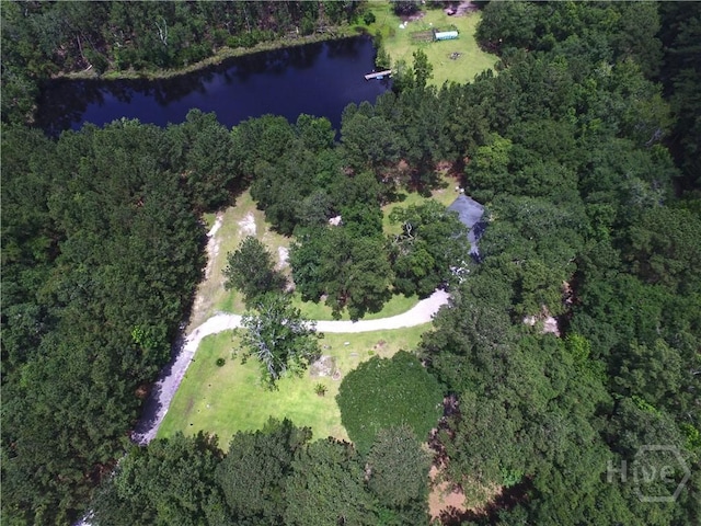 287 Sandpiper Rd, Midway, GA 31320 - aerial view of property's location featuring a large body of water and a heavily wooded area