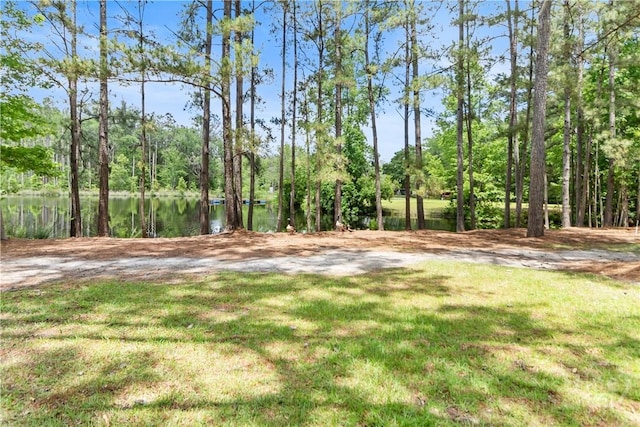 287 Sandpiper Rd, Midway, GA 31320 - view of grassy yard featuring a water view