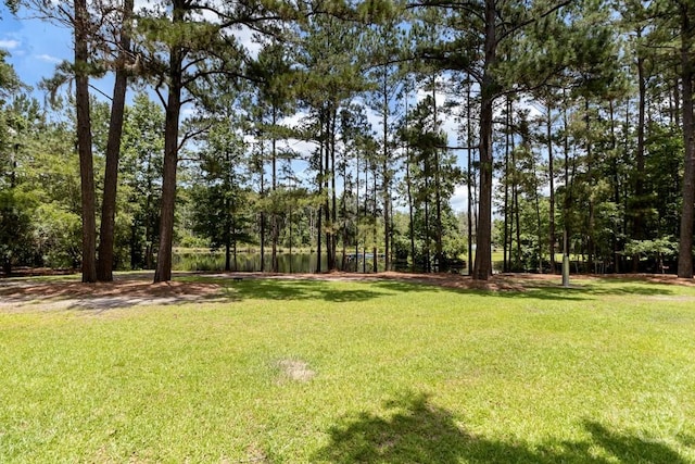 287 Sandpiper Rd, Midway, GA 31320 - view of grassy yard