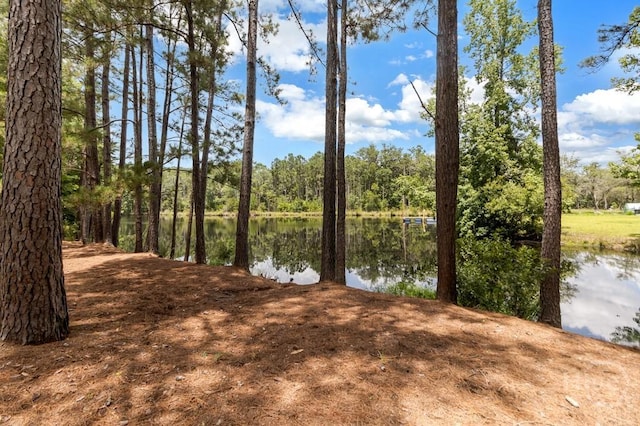 287 Sandpiper Rd, Midway, GA 31320 - water view