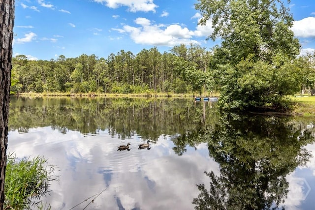287 Sandpiper Rd, Midway, GA 31320 - water view with a forest