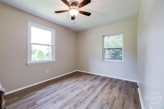 27 Sapelo Rd, Savannah, GA 31410 - photo 27
