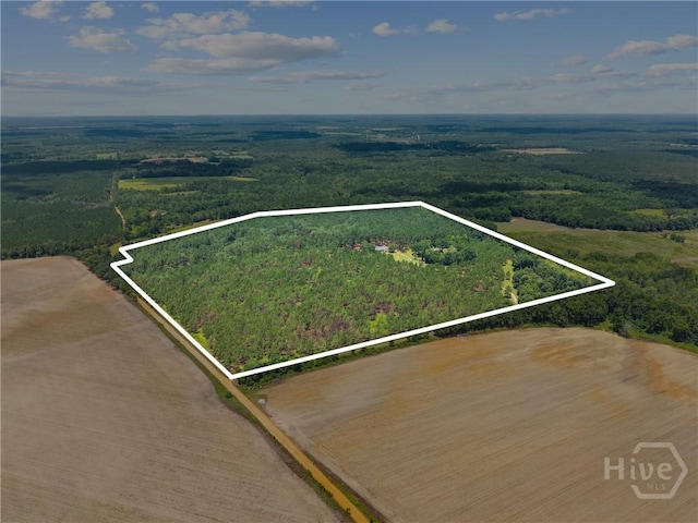 2441 Bovine Rd, Sylvania, GA 30467 - aerial overview of property's location featuring property parcel outlined