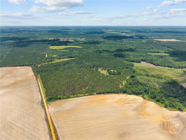 2441 Bovine Rd, Sylvania, GA 30467 - bird's eye view of a forest