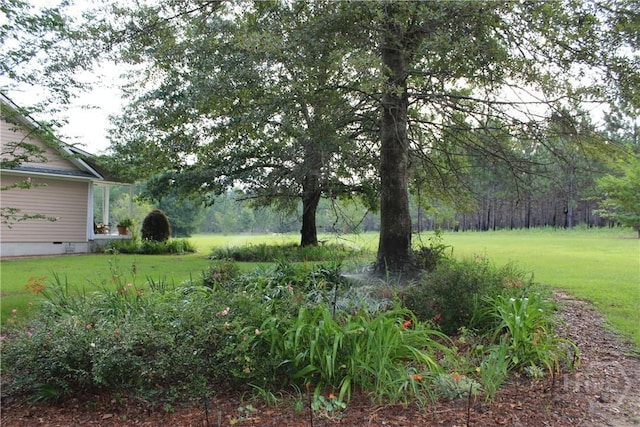 2441 Bovine Rd, Sylvania, GA 30467 - view of grassy yard