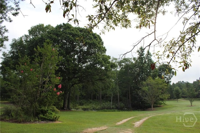2441 Bovine Rd, Sylvania, GA 30467 - view of home's community featuring a lawn