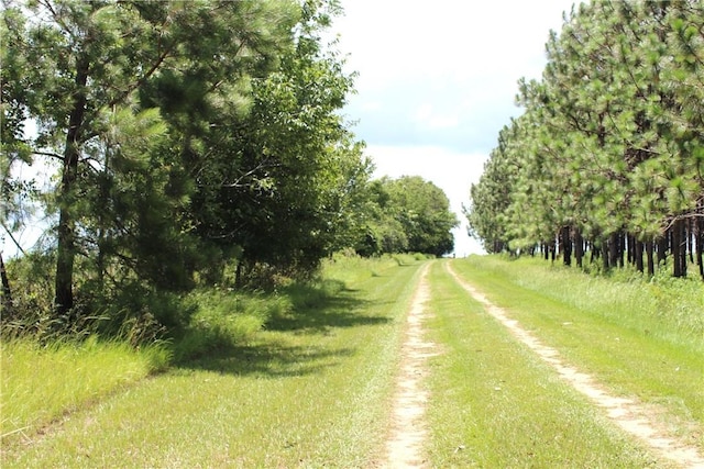2441 Bovine Rd, Sylvania, GA 30467 - view of street