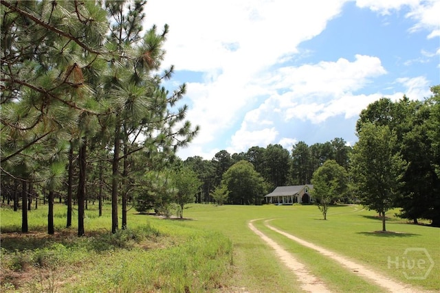 2441 Bovine Rd, Sylvania, GA 30467 - view of dirt / gravel road with a forest view