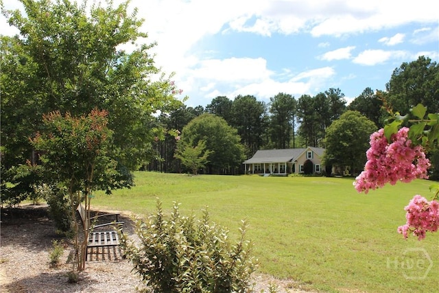 2441 Bovine Rd, Sylvania, GA 30467 - view of grassy yard