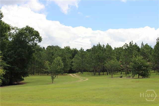 2441 Bovine Rd, Sylvania, GA 30467 - view of home's community featuring a yard