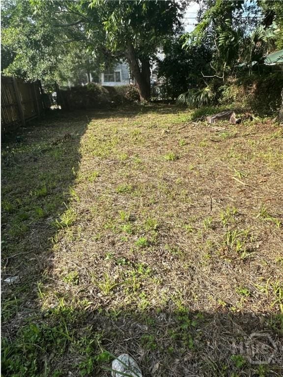712 E Anderson St, Savannah, GA 31401 - view of yard