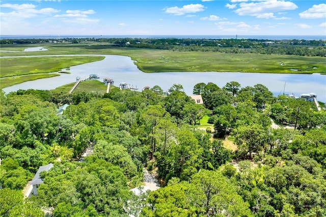 119 Catalina Dr, Tybee Island, GA 31328 - bird's eye view of a nearby body of water and a local golf course