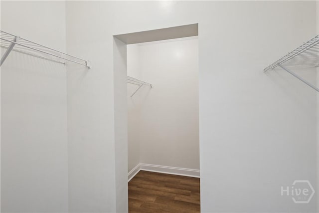 25 SE Cutters Gap, Ludowici, GA 31316 - spacious closet with wood finished floors