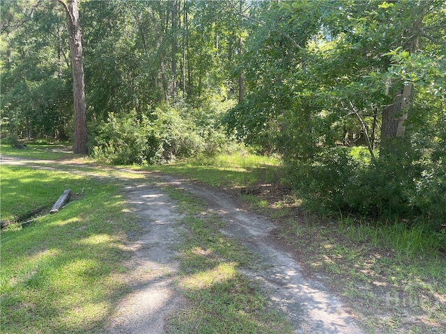0 Seabrook Ln, Midway, GA 31320