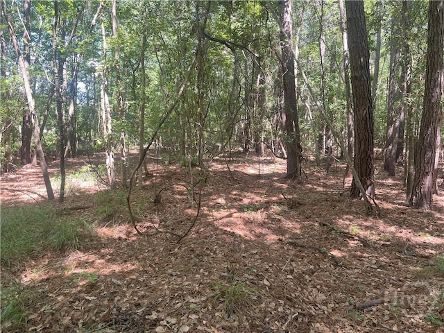 0 Seabrook Ln, Midway, GA 31320
