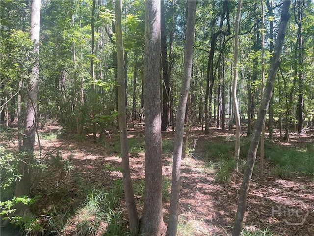 0 Seabrook Ln, Midway, GA 31320