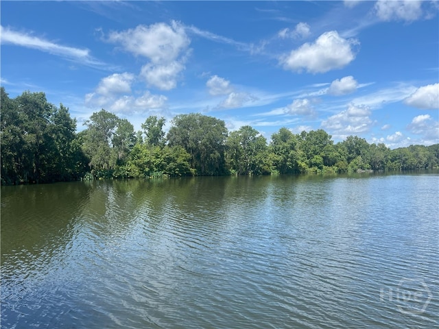 0 Seabrook Ln, Midway, GA 31320