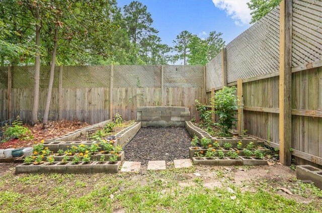 275 Carter St, Richmond Hill, GA 31324 - fenced backyard with a vegetable garden