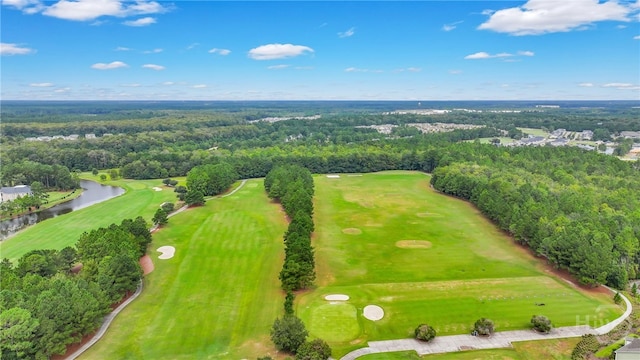 31 Cottingham Way, Pooler, GA 31322 - bird's eye view of a large body of water and a golf club