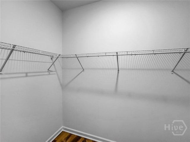 1031 Milton St, Savannah, GA 31405 - walk in closet featuring dark wood-style flooring
