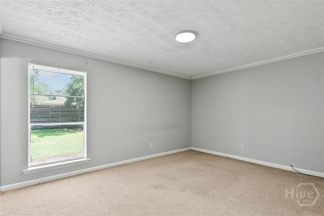 904 Mill Dr, Savannah, GA 31419 - carpeted empty room with a textured ceiling and ornamental molding
