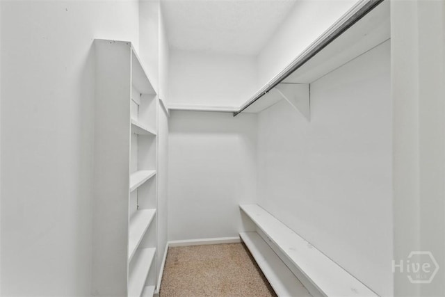 904 Mill Dr, Savannah, GA 31419 - walk in closet featuring carpet floors