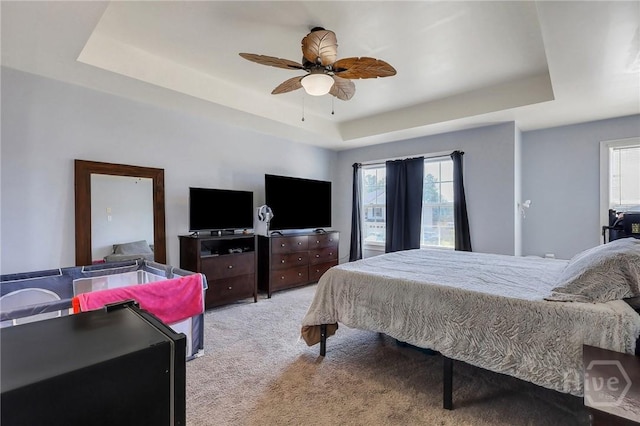 243 Forest St NE, Ludowici, GA 31316 - bedroom featuring a tray ceiling, light carpet, multiple windows, and ceiling fan