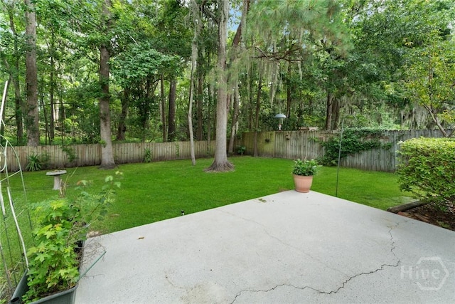 178 Junco Way, Savannah, GA 31419 - fenced backyard featuring a patio area