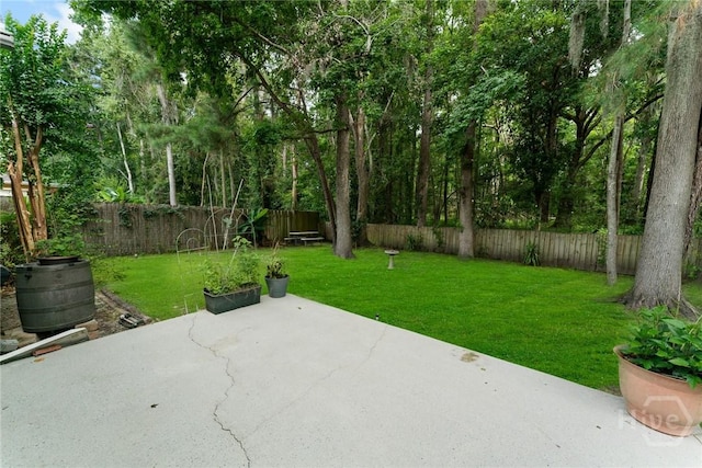 178 Junco Way, Savannah, GA 31419 - fenced backyard with a patio