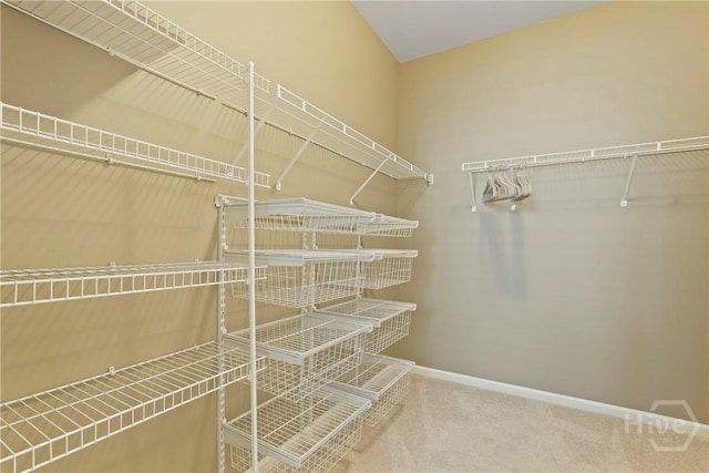 7 Saddle St N, Savannah, GA 31407 - walk in closet featuring carpet