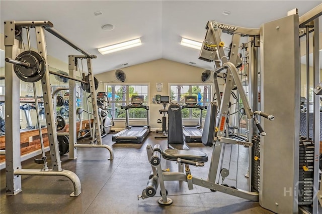 7 Saddle St N, Savannah, GA 31407 - gym featuring vaulted ceiling