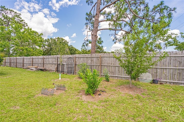124 Drennon Dr, Jesup, GA 31545 - view of fenced backyard