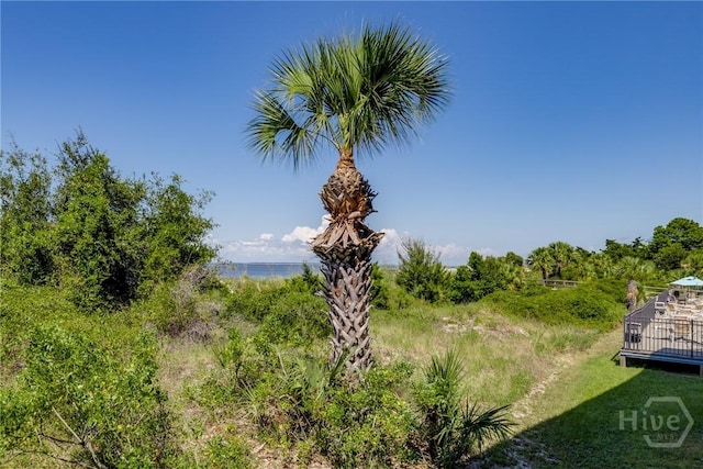 1217 Bay St Unit 109B, Tybee Island, GA 31328 - view of nature featuring a nearby body of water