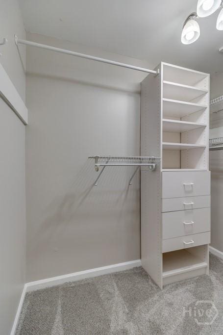 611 Benton Dr, Pooler, GA 31322 - walk in closet with carpet