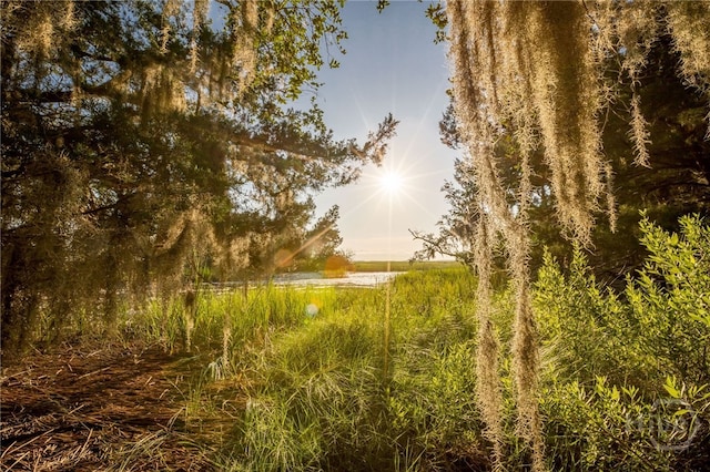 10 Oyster Reef Rd, Savannah, GA 31411 - photo 11