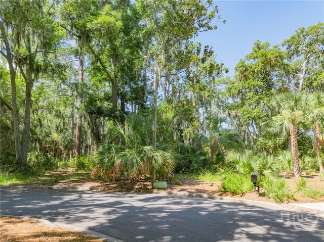 10 Oyster Reef Rd, Savannah, GA 31411 - photo 12