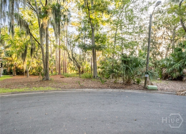 10 Oyster Reef Rd, Savannah, GA 31411 - photo 13