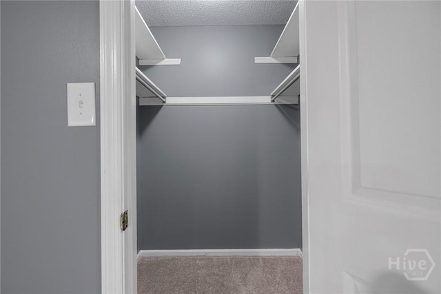 2 Brandle Cv, Savannah, GA 31405 - spacious closet with carpet floors