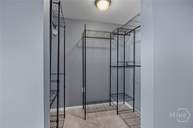 2 Brandle Cv, Savannah, GA 31405 - walk in closet featuring carpet floors