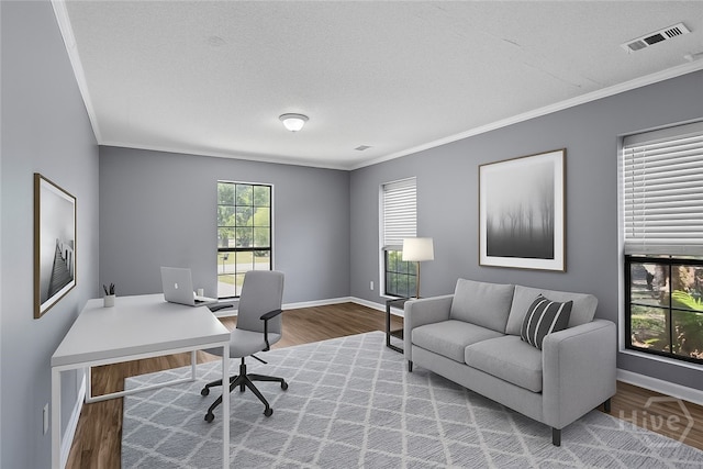 2 Brandle Cv, Savannah, GA 31405 - office featuring wood finished floors, ornamental molding, and a textured ceiling